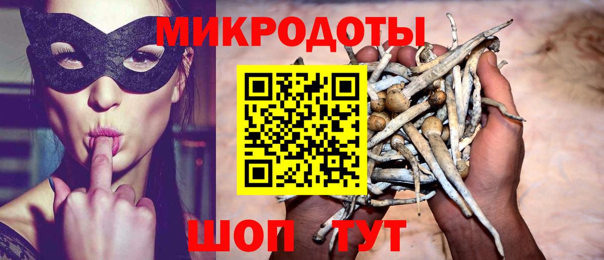Псилоцибиновые грибы Psilocybine cubensis  что такое наркотик  Вход с VPN  Электросталь  Псилоцибиновые грибы ЛСД 