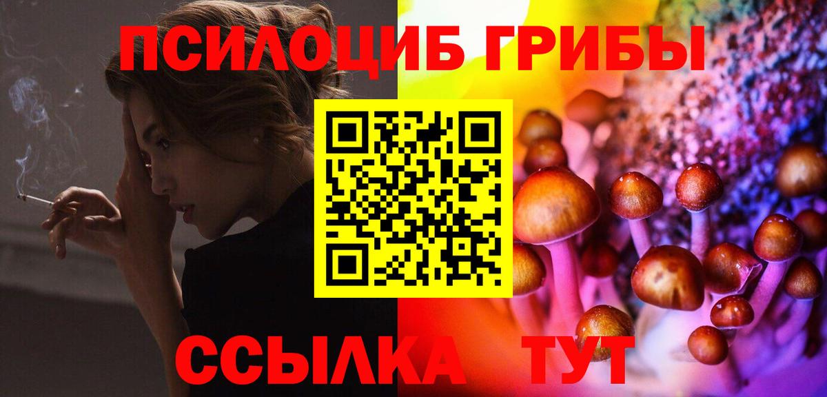 Псилоцибиновые грибы Psilocybe Электросталь